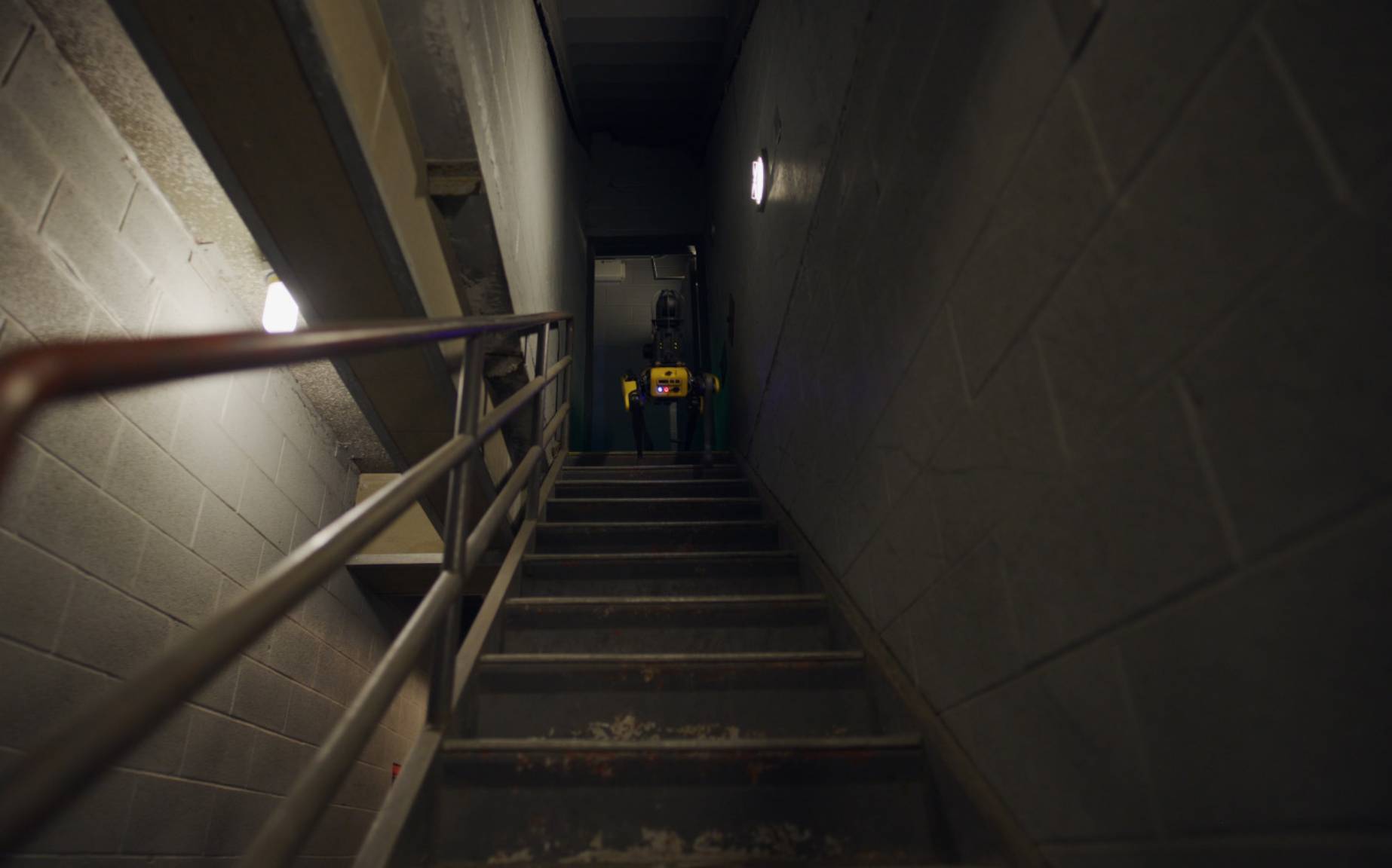 Spot at the top of a stairwell in a dimly lit building